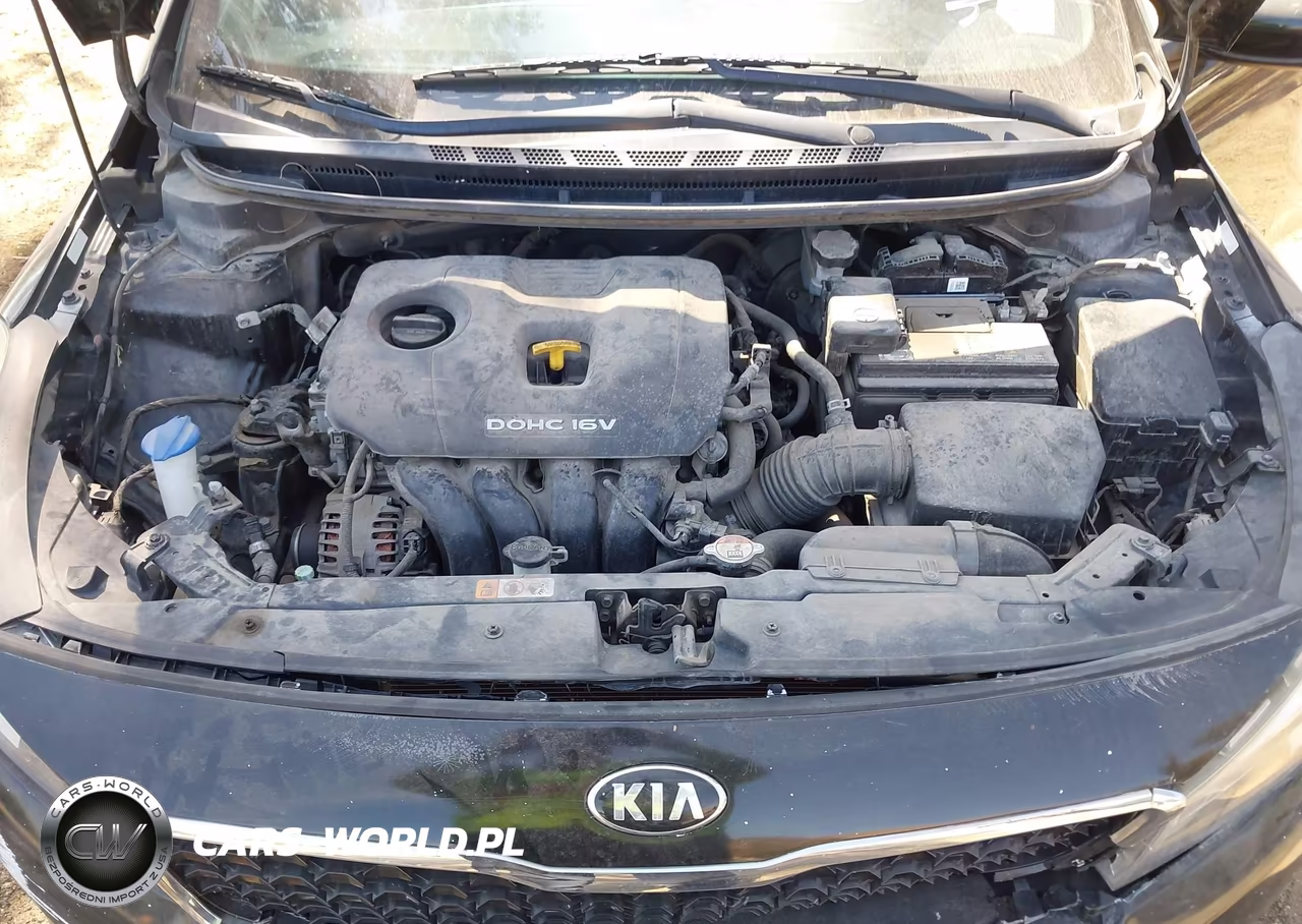 2018 Kia Forte Lx VIN:3KPFK4A72JE234818 - 10
