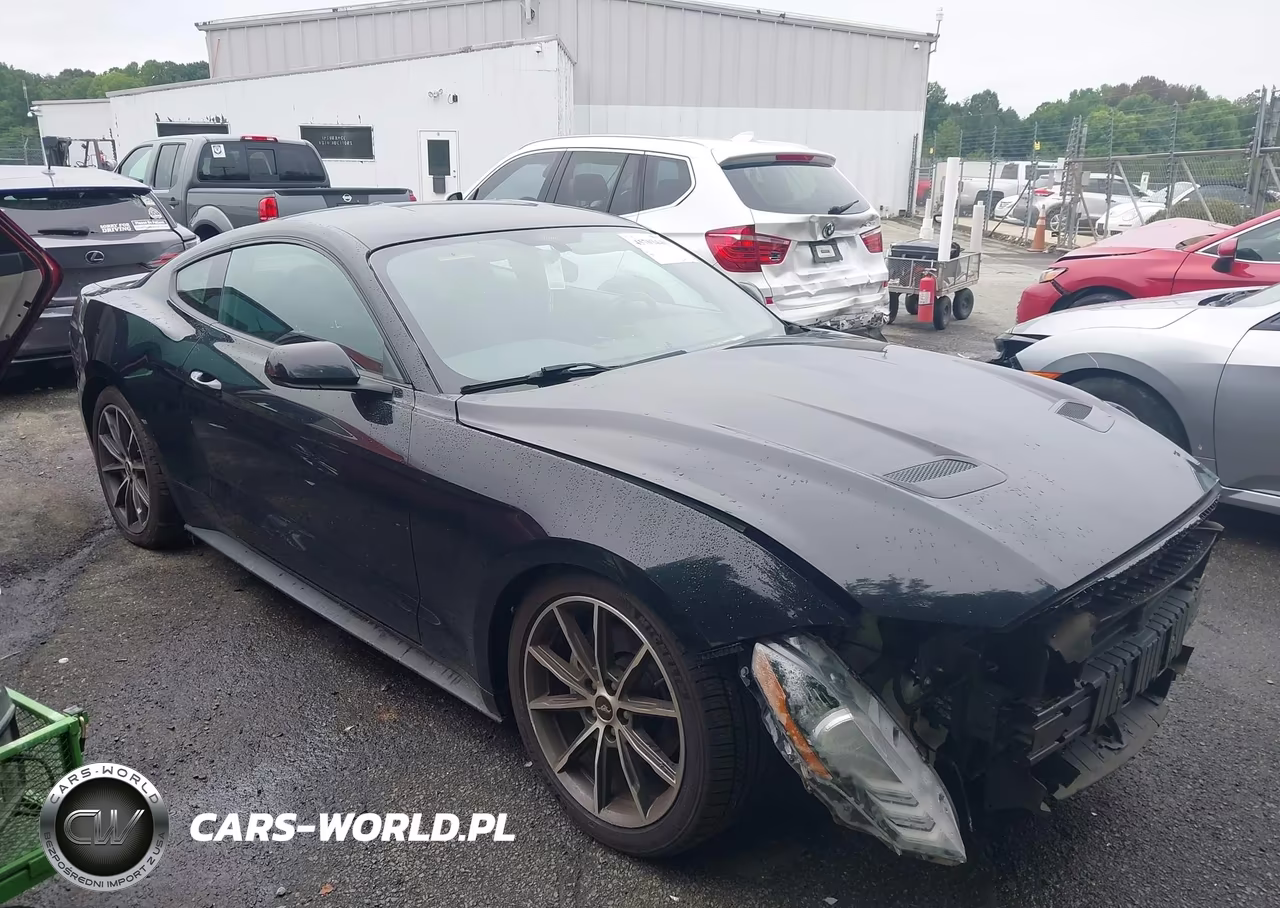 2019 Ford Mustang Ecoboost
