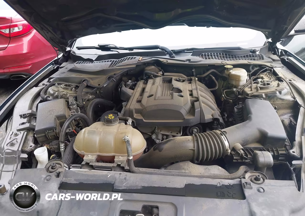 2019 Ford Mustang Ecoboost VIN:1FA6P8TH9K5123233 - 10