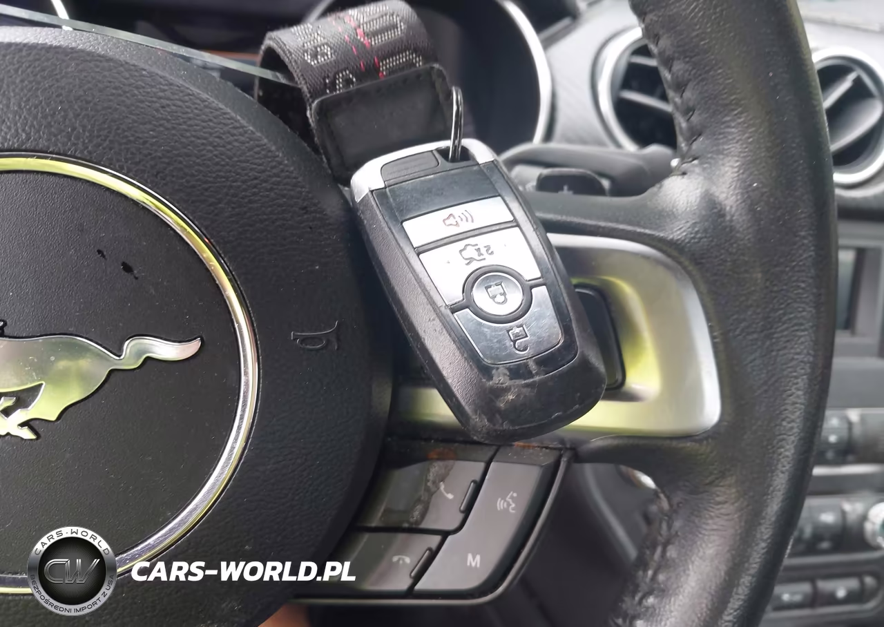 2019 Ford Mustang Ecoboost VIN:1FA6P8TH9K5123233 - 11