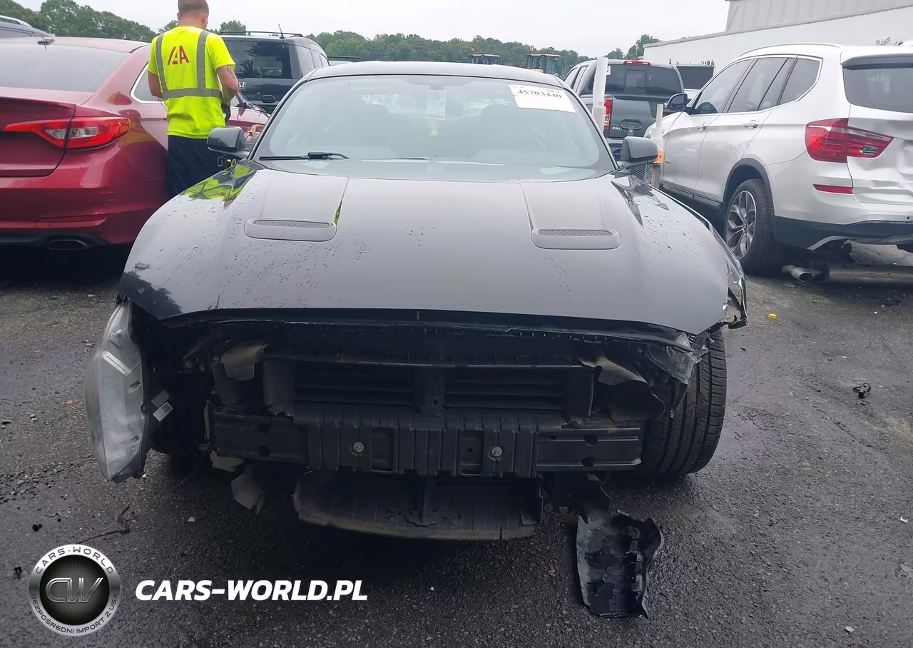 2019 Ford Mustang Ecoboost VIN:1FA6P8TH9K5123233 - 12