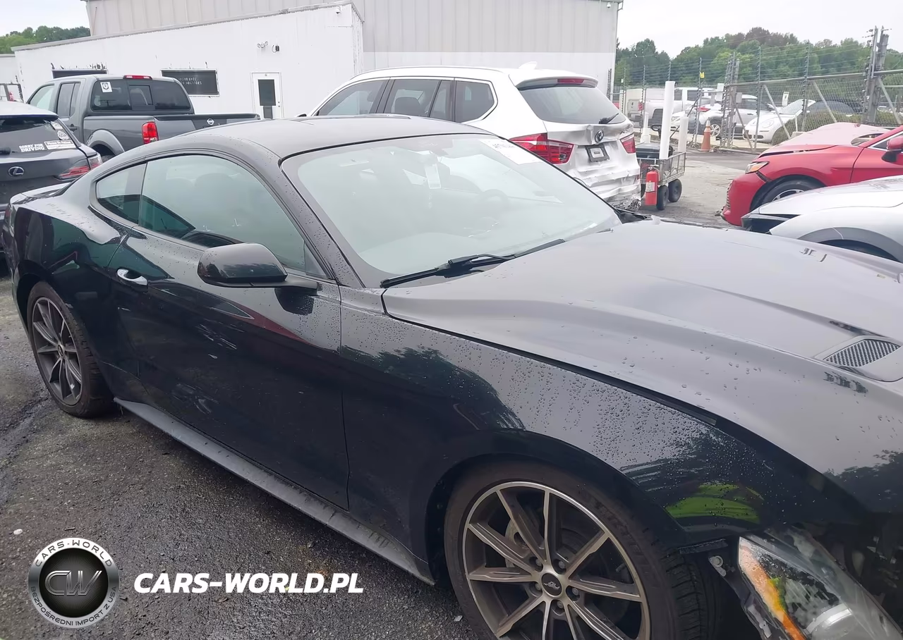 2019 Ford Mustang Ecoboost VIN:1FA6P8TH9K5123233 - 13