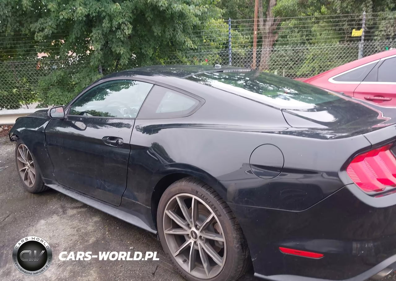 2019 Ford Mustang Ecoboost VIN:1FA6P8TH9K5123233 - 14