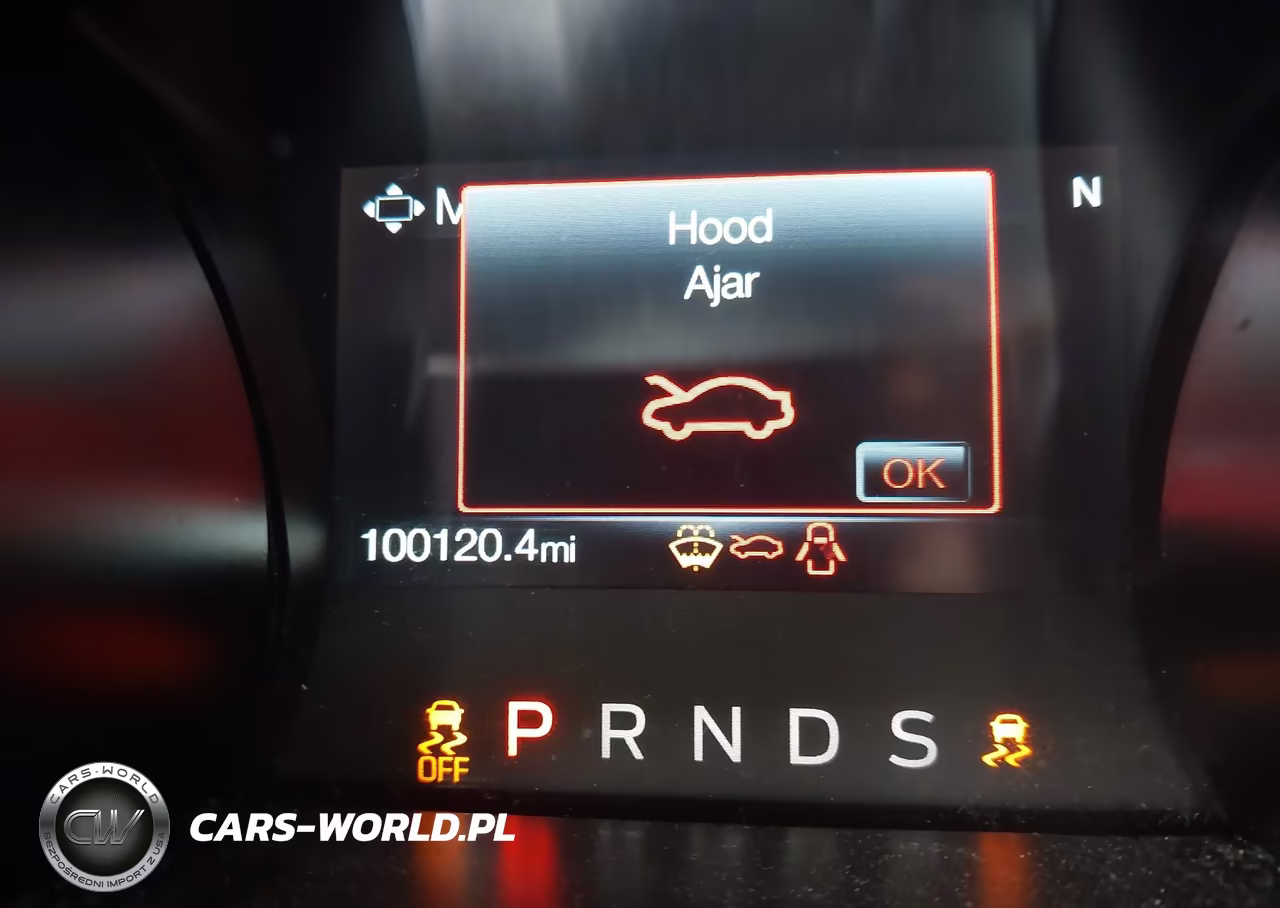 2019 Ford Mustang Ecoboost VIN:1FA6P8TH9K5123233 - 15