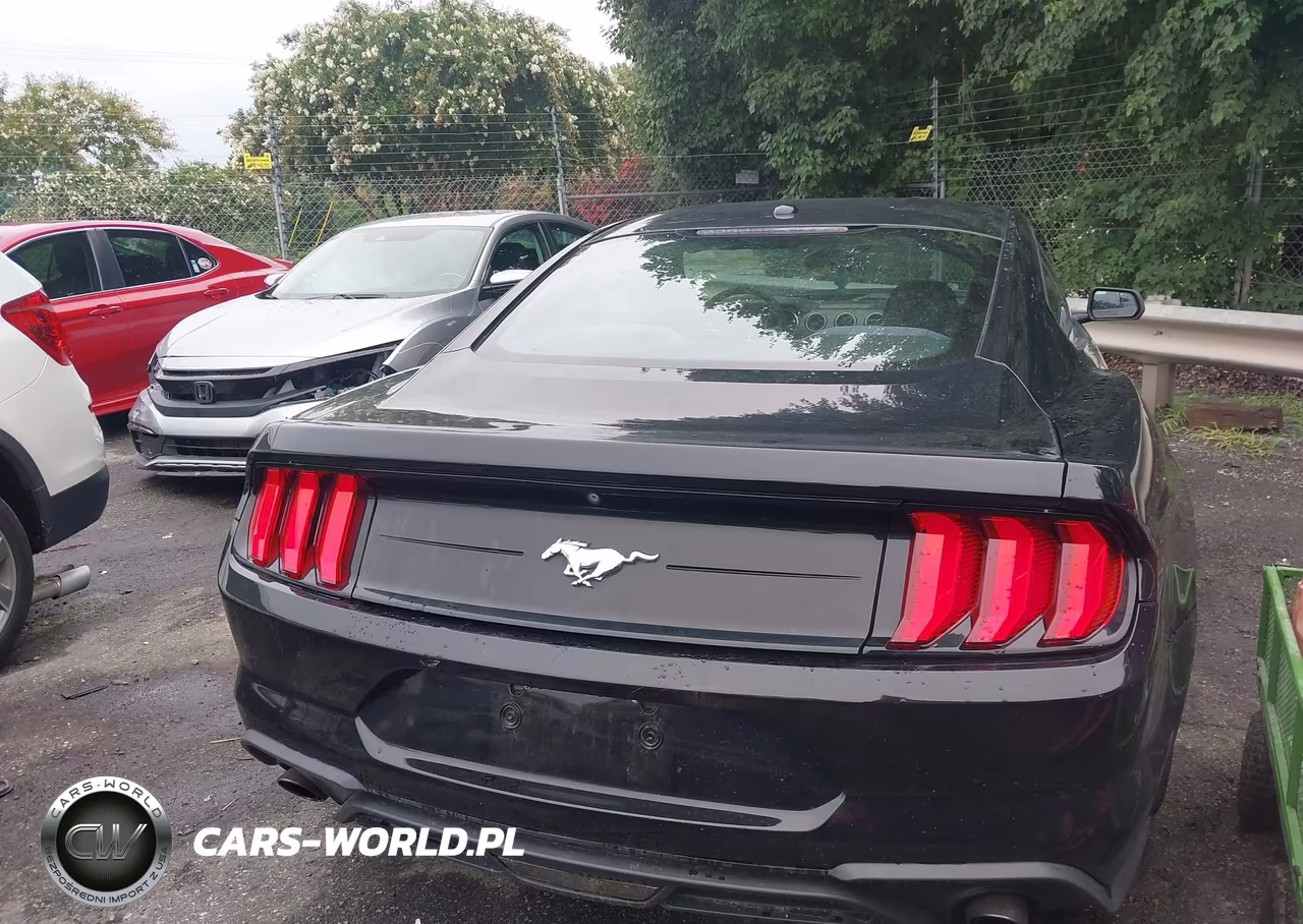 2019 Ford Mustang Ecoboost VIN:1FA6P8TH9K5123233 - 16