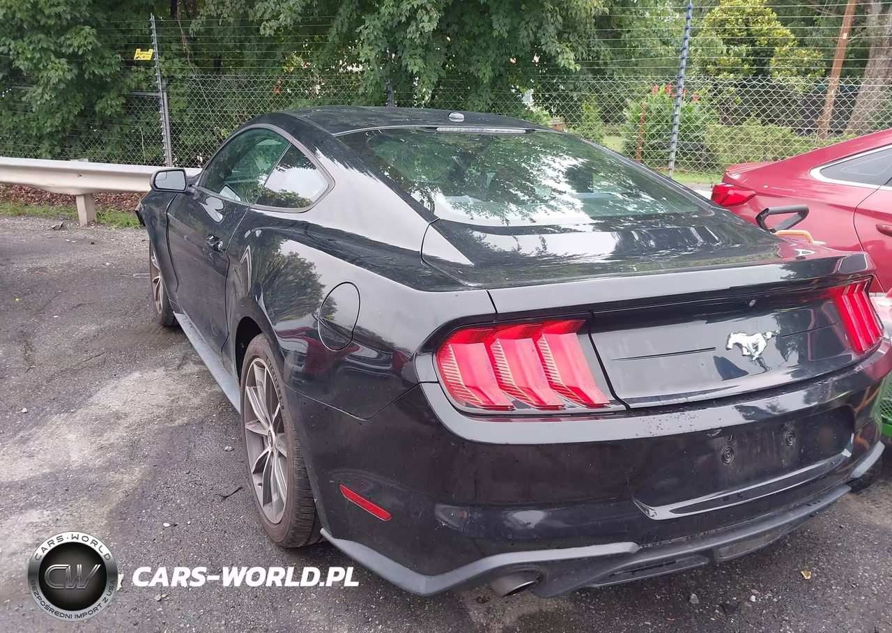 2019 Ford Mustang Ecoboost VIN:1FA6P8TH9K5123233 - 3