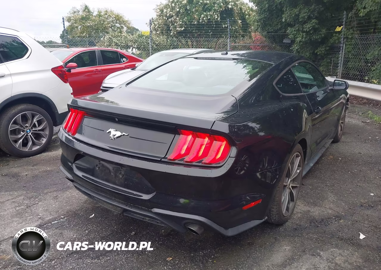 2019 Ford Mustang Ecoboost VIN:1FA6P8TH9K5123233 - 4