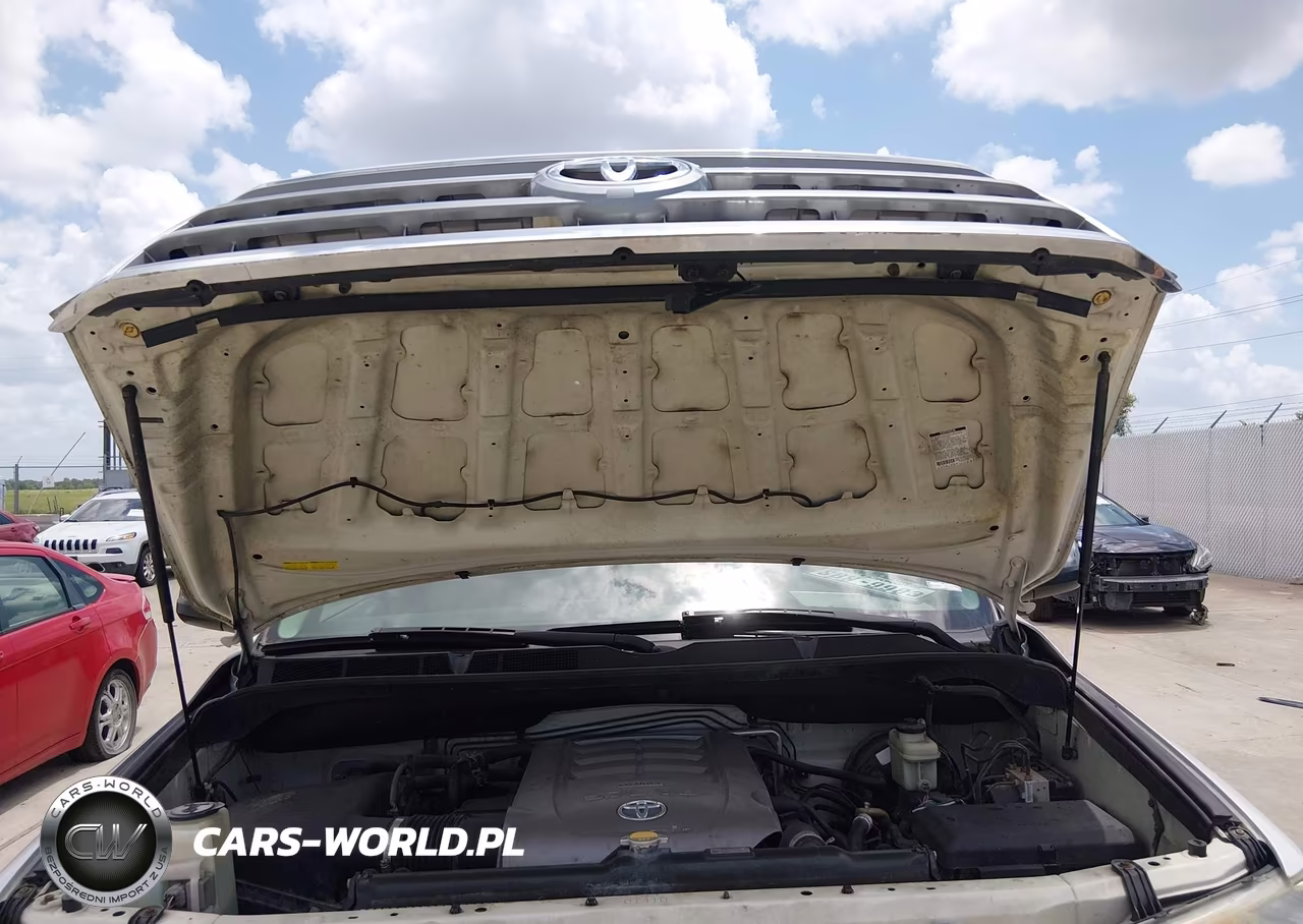 2008 Toyota Sequoia Platinum 5.7L V8 VIN:5TDBY67A08S000317 - 10