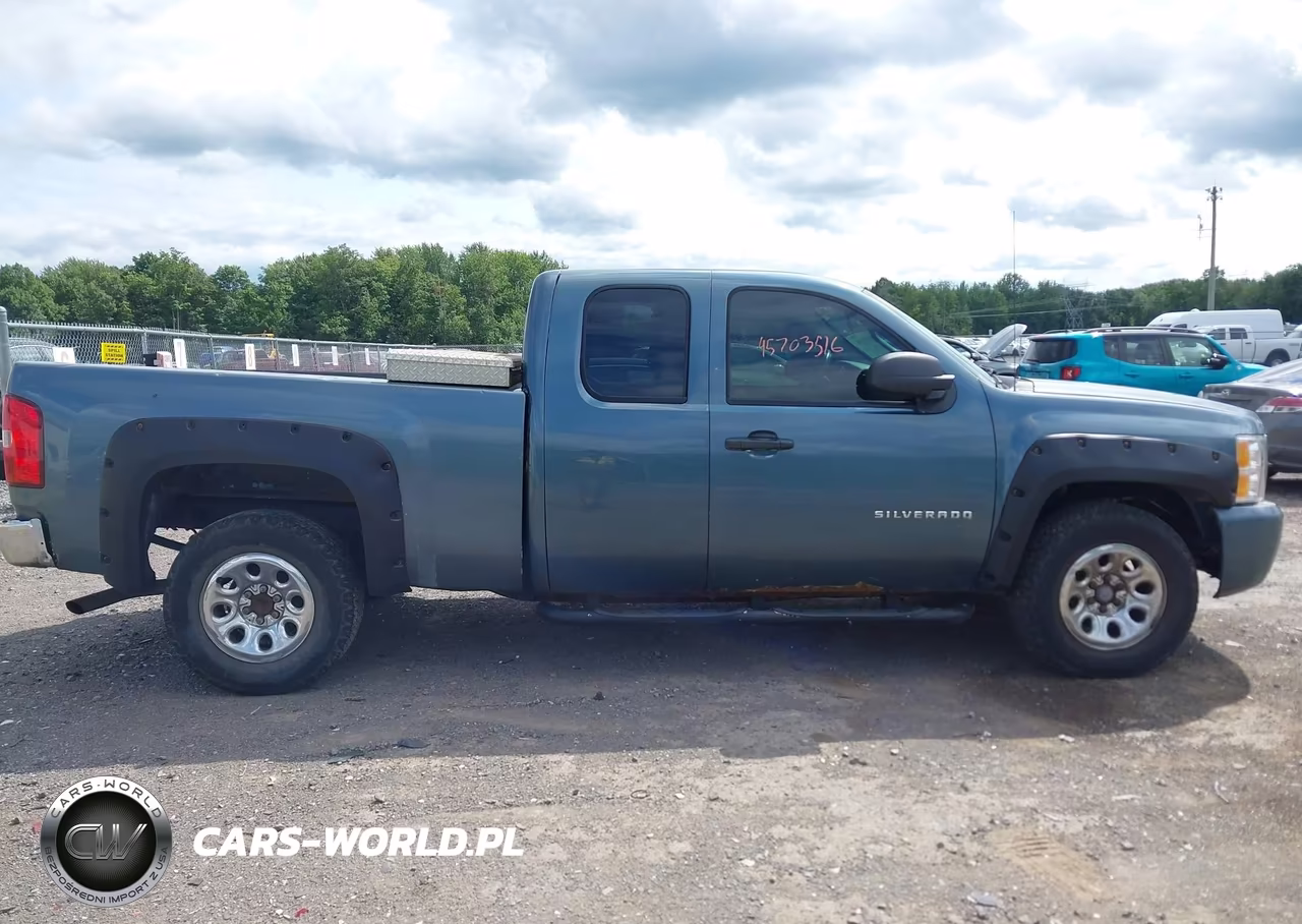 2010 Chevrolet Silverado 1500 Ls VIN:1GCSKREA9AZ147522 - 13