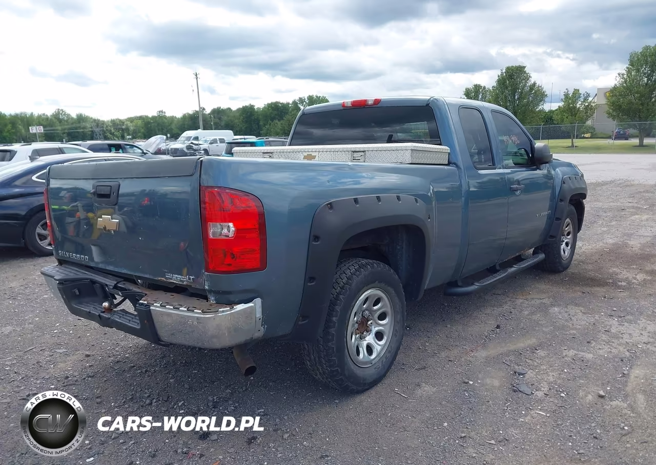2010 Chevrolet Silverado 1500 Ls VIN:1GCSKREA9AZ147522 - 4