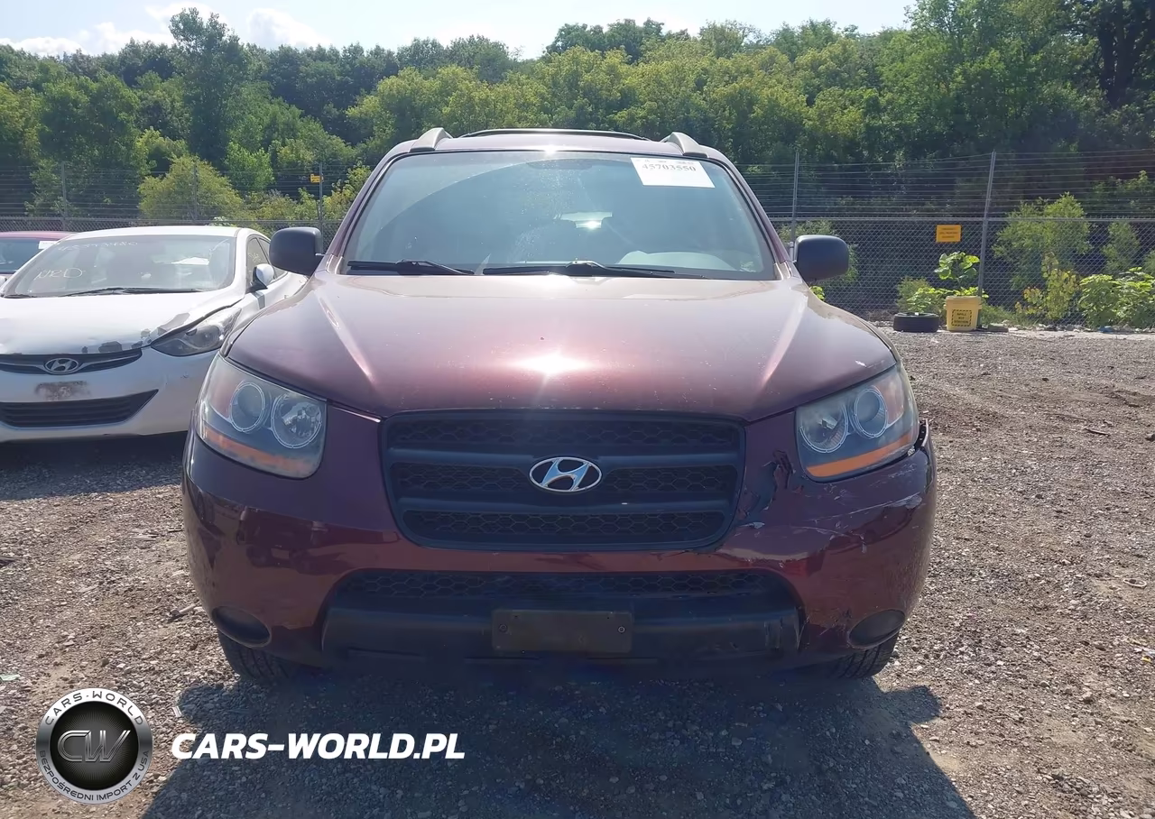 2009 Hyundai Santa Fe Gls VIN:5NMSG13D99H265540 - 12