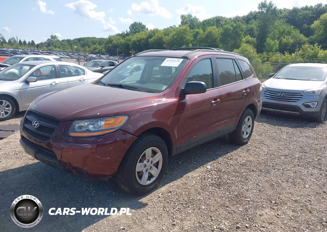 2009 Hyundai Santa Fe Gls VIN:5NMSG13D99H265540 - 2
