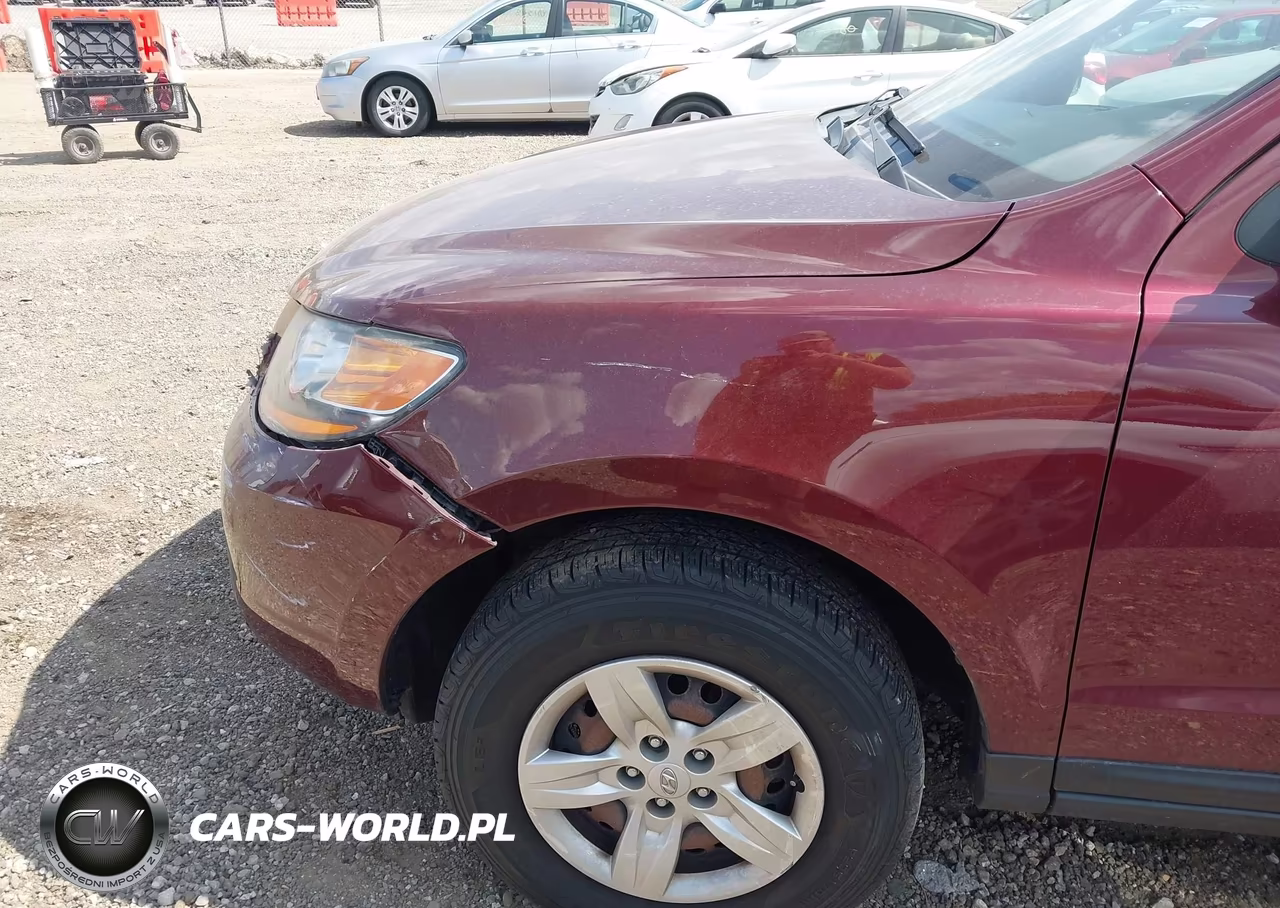 2009 Hyundai Santa Fe Gls VIN:5NMSG13D99H265540 - 6