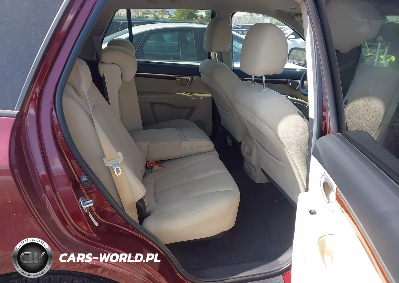 2009 Hyundai Santa Fe Gls VIN:5NMSG13D99H265540 - 8