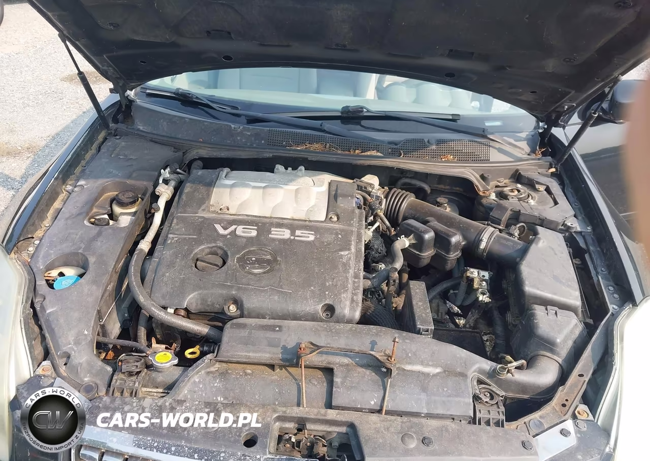 2006 Nissan Maxima 3.5 Se VIN:1N4BA41EX6C826486 - 10