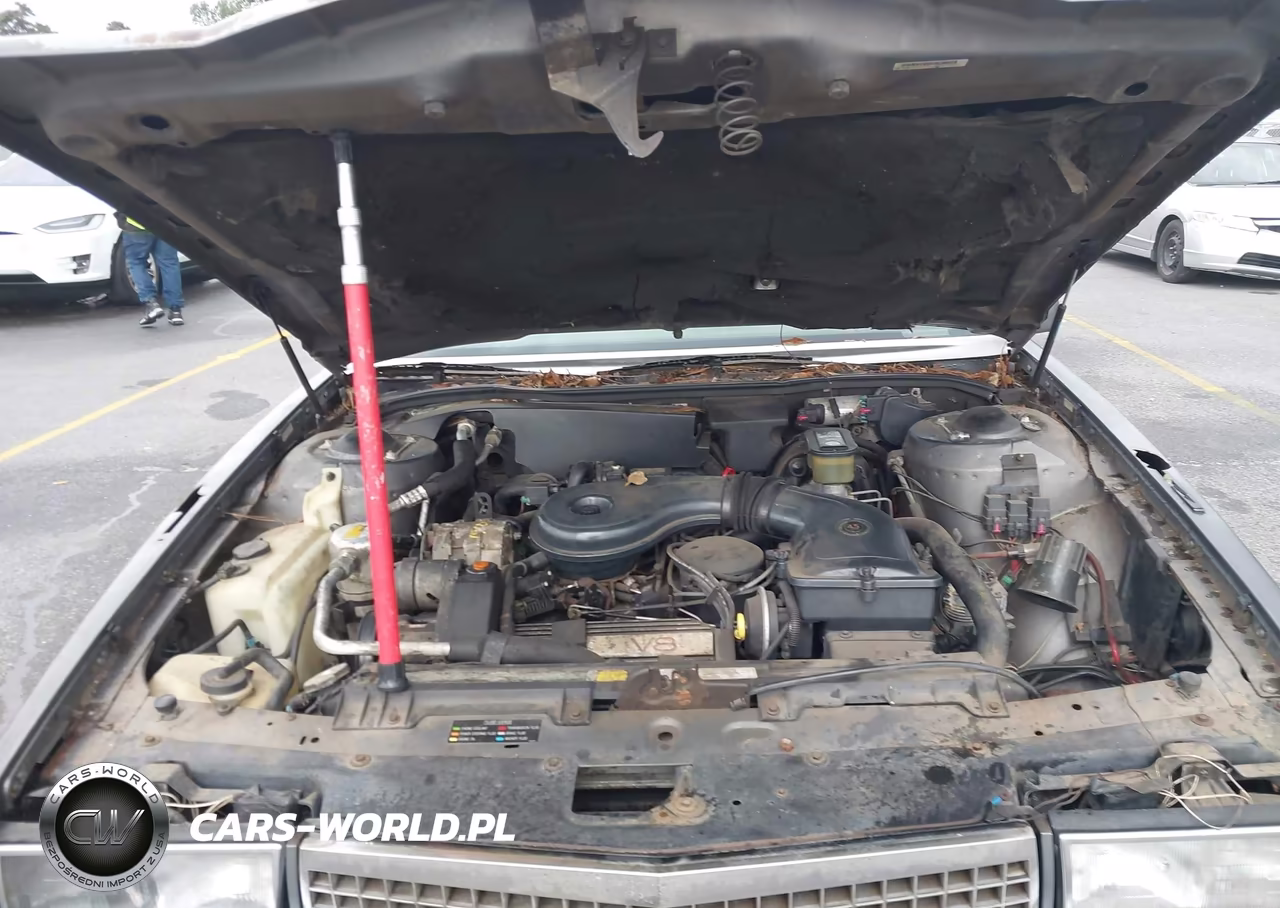 1989 Cadillac Deville VIN:1G6CD5156K4373325 - 10