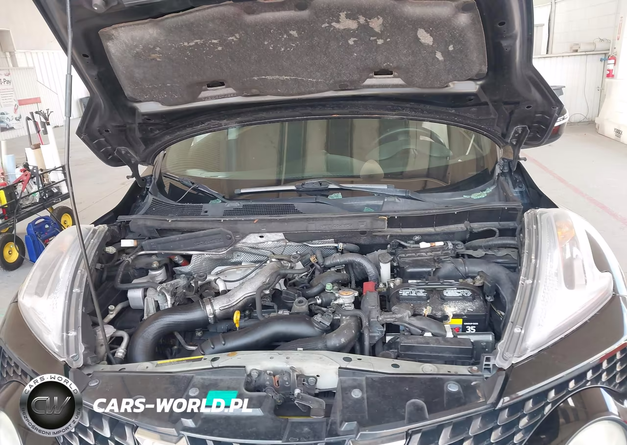 2016 Nissan Juke Nismo-S-Sl-Sv VIN:JN8AF5MV0GT651258 - 10