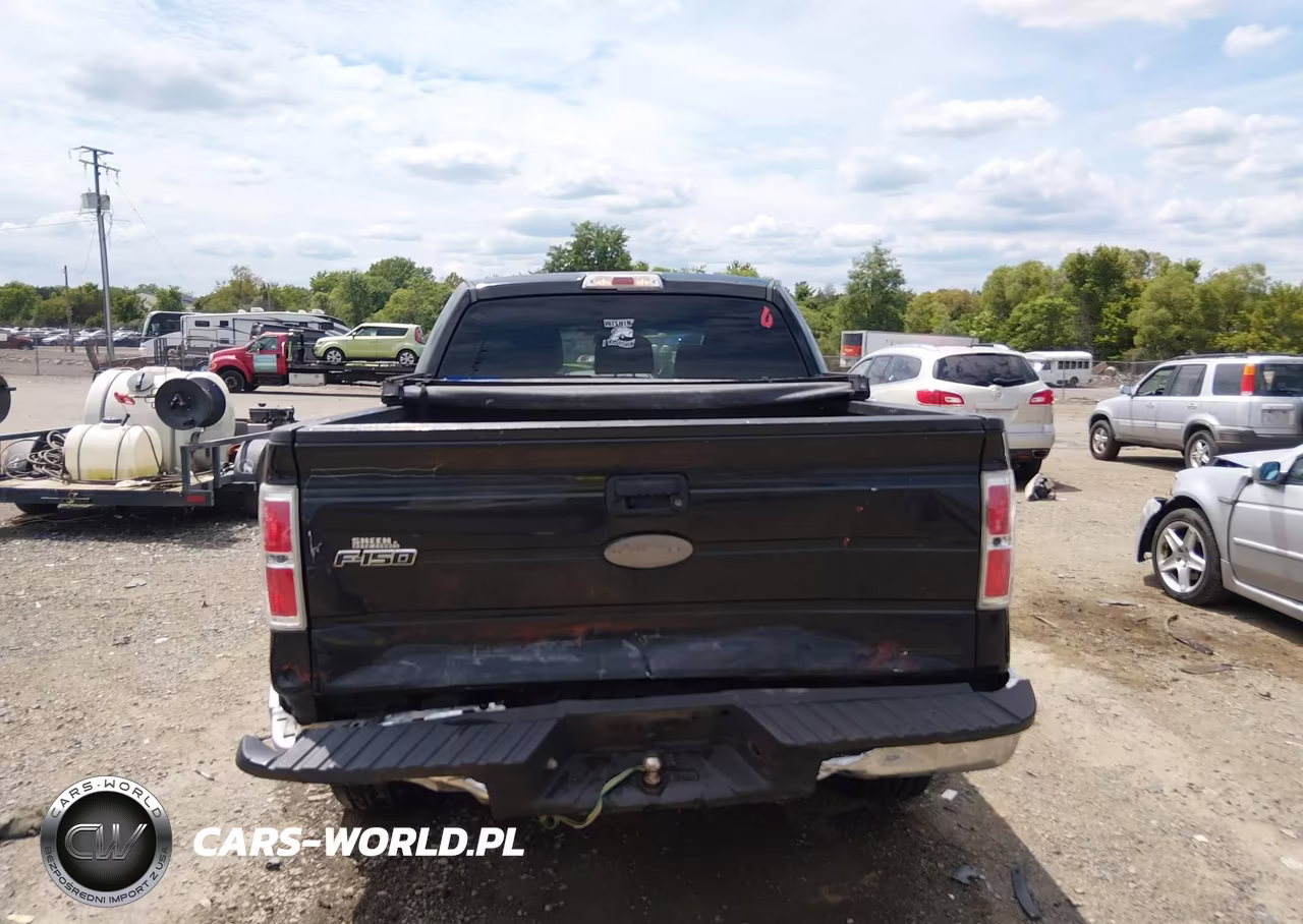 2012 Ford F-150 Xlt VIN:1FTFW1EF3CKD18070 - 16