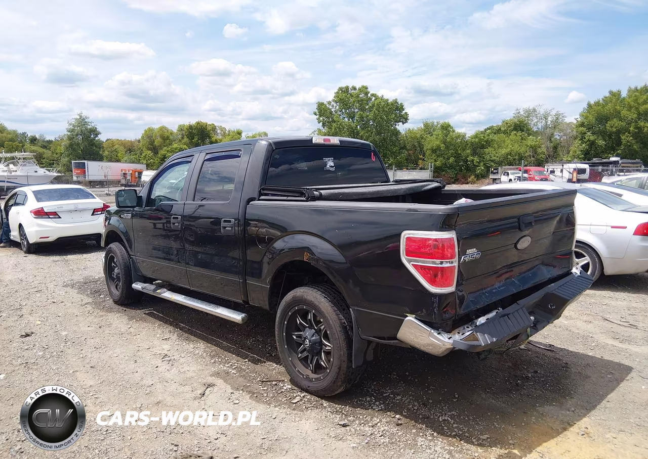 2012 Ford F-150 Xlt VIN:1FTFW1EF3CKD18070 - 3