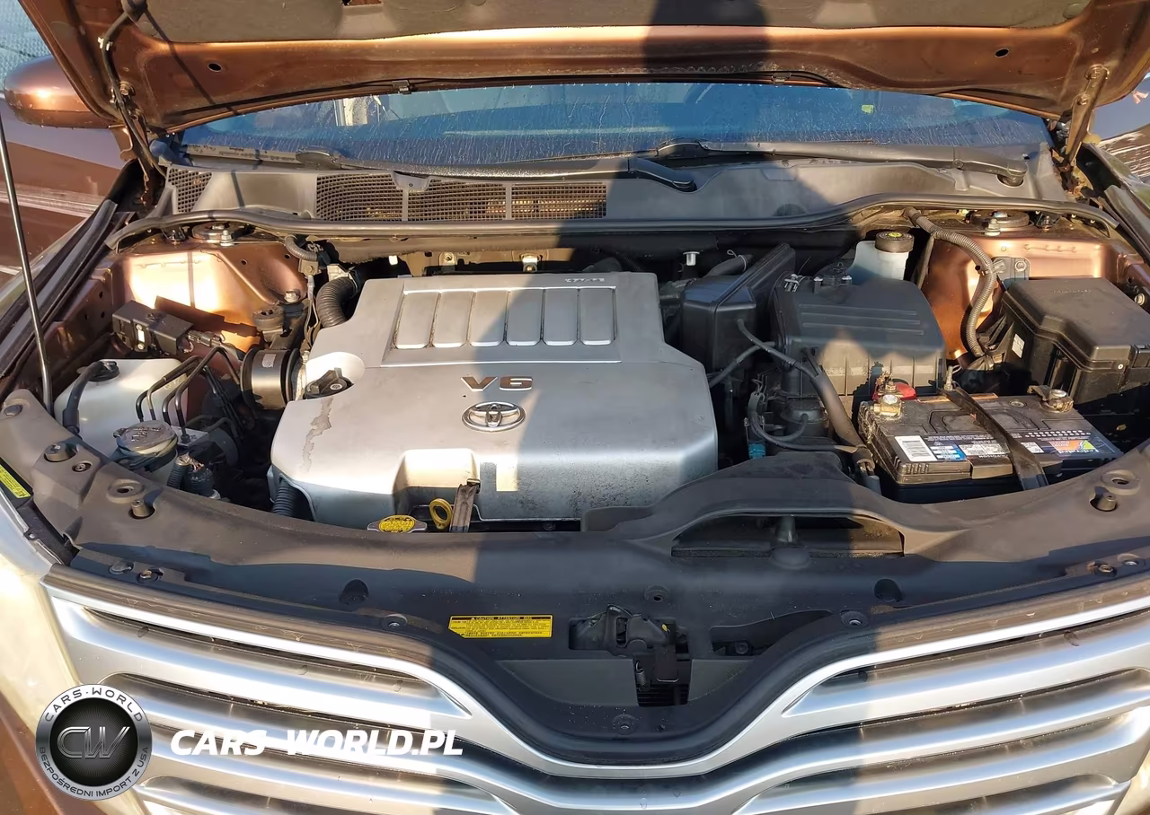 2010 Toyota Venza Base V6 VIN:4T3BK3BBXAU043096 - 10