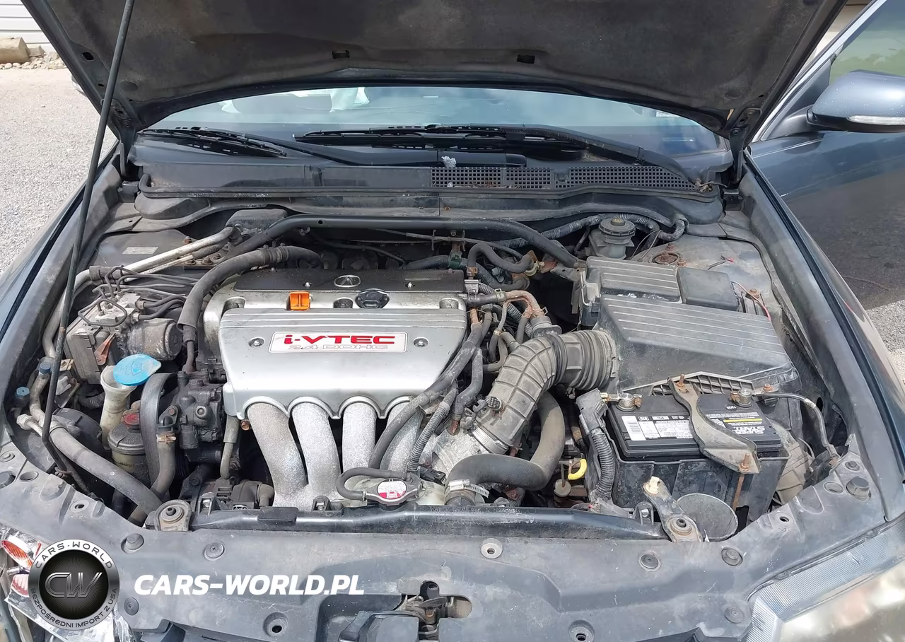 2004 Acura Tsx VIN:JH4CL96864C008838 - 10