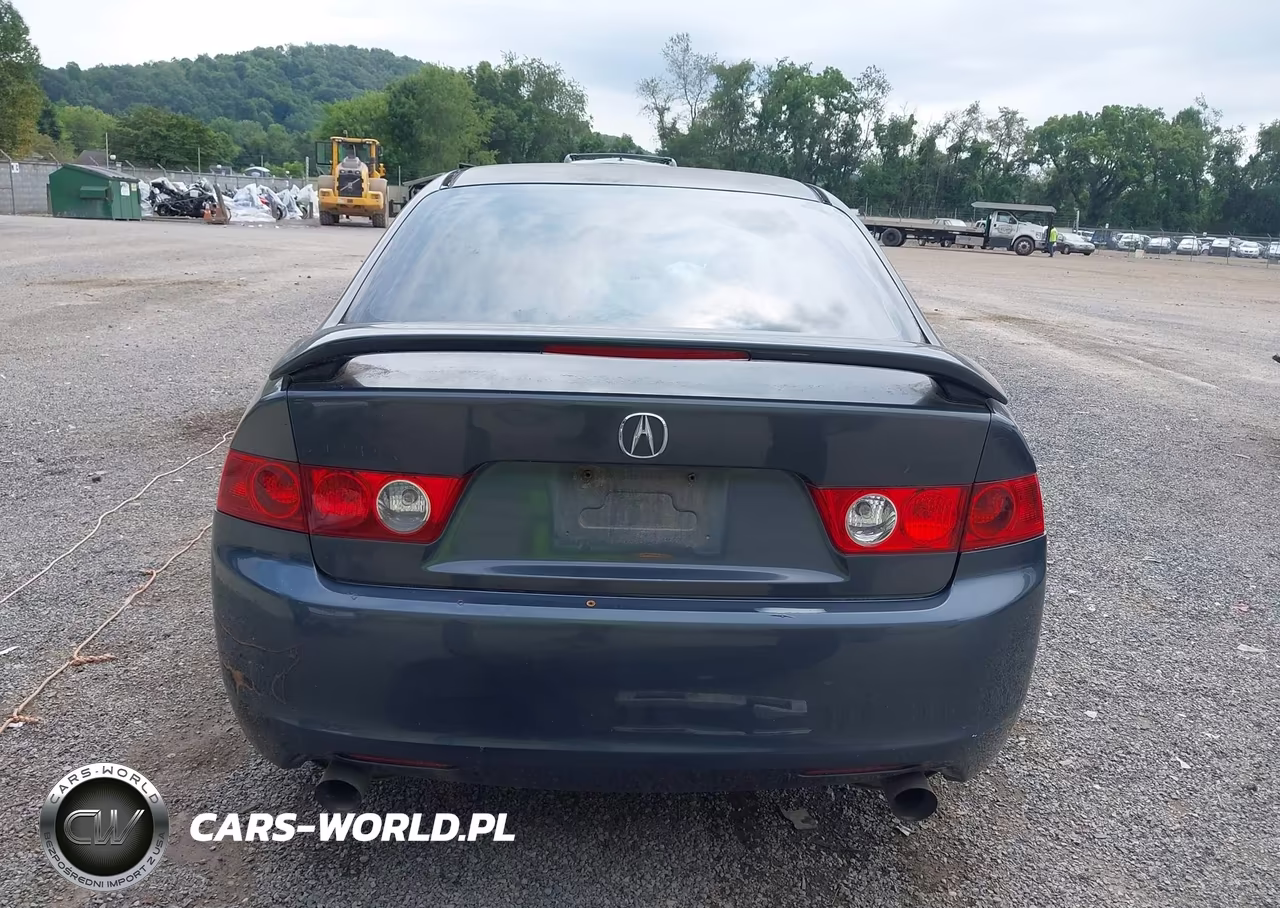 2004 Acura Tsx VIN:JH4CL96864C008838 - 17