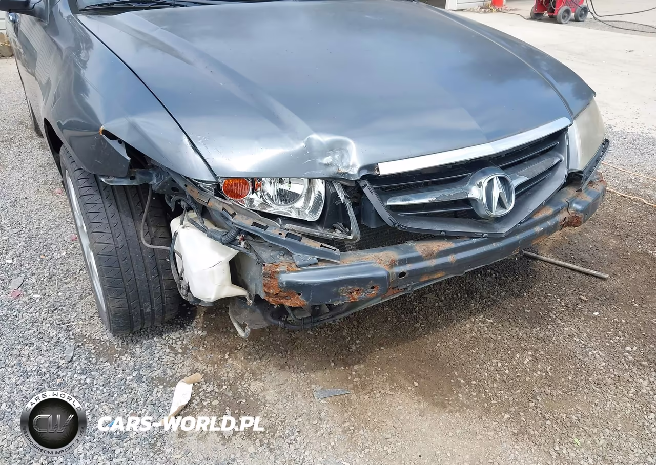 2004 Acura Tsx VIN:JH4CL96864C008838 - 19