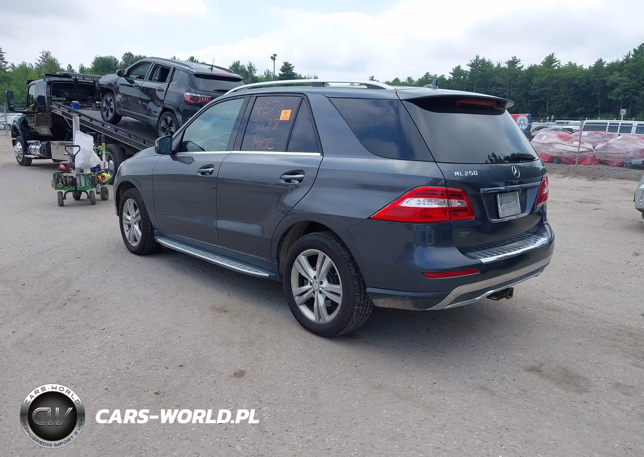 2015 Mercedes-Benz Ml 250 Bluetec 4Matic VIN:4JGDA0EB1FA556552 - 3