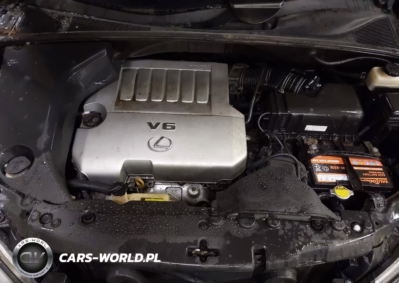 2009 Lexus Rx 350 VIN:2T2HK31U49C102433 - 10