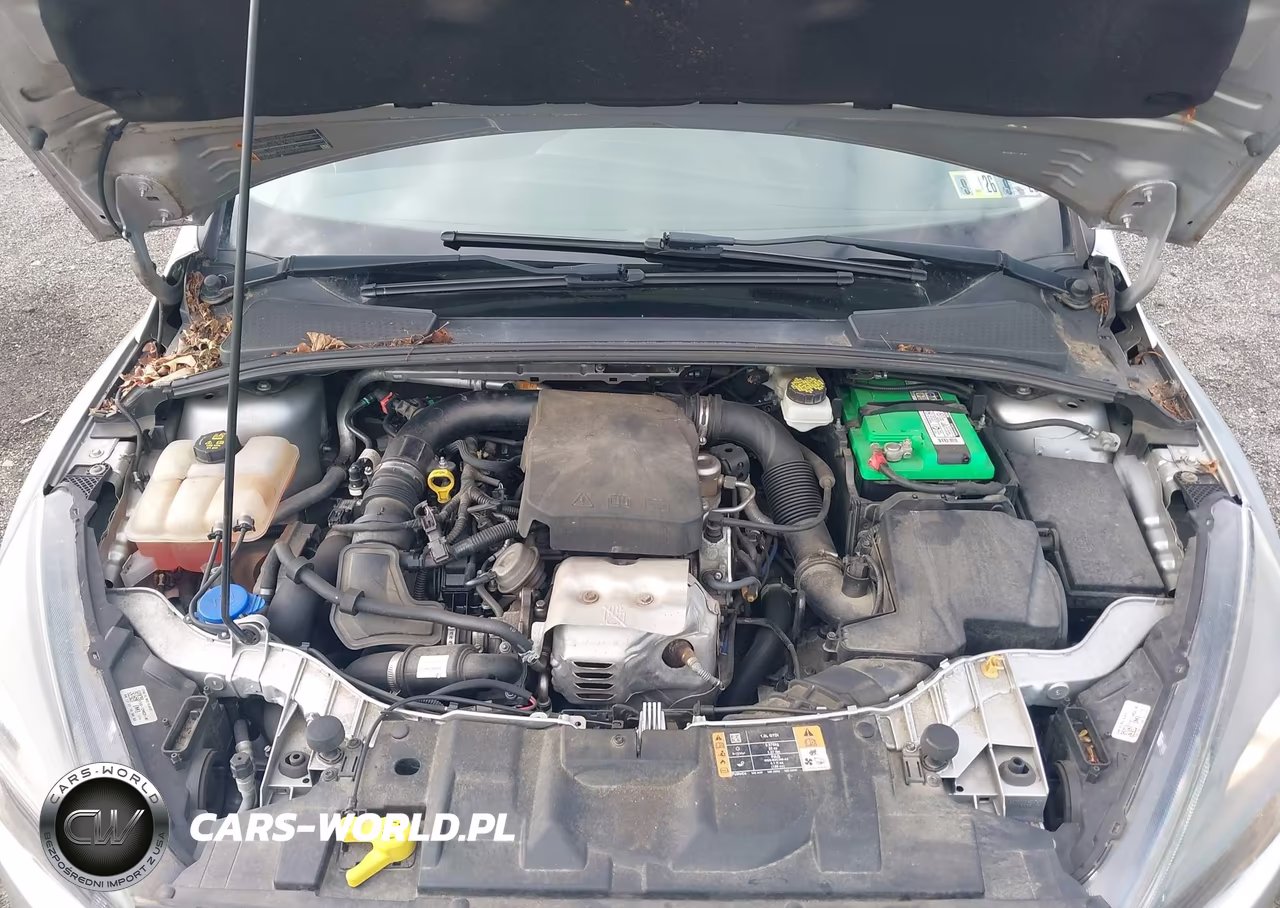 2017 Ford Focus Se VIN:1FADP3FE7HL266021 - 10