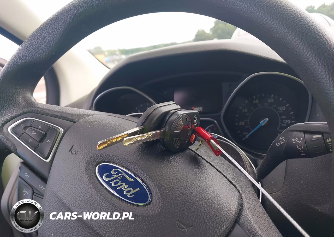 2017 Ford Focus Se VIN:1FADP3FE7HL266021 - 11