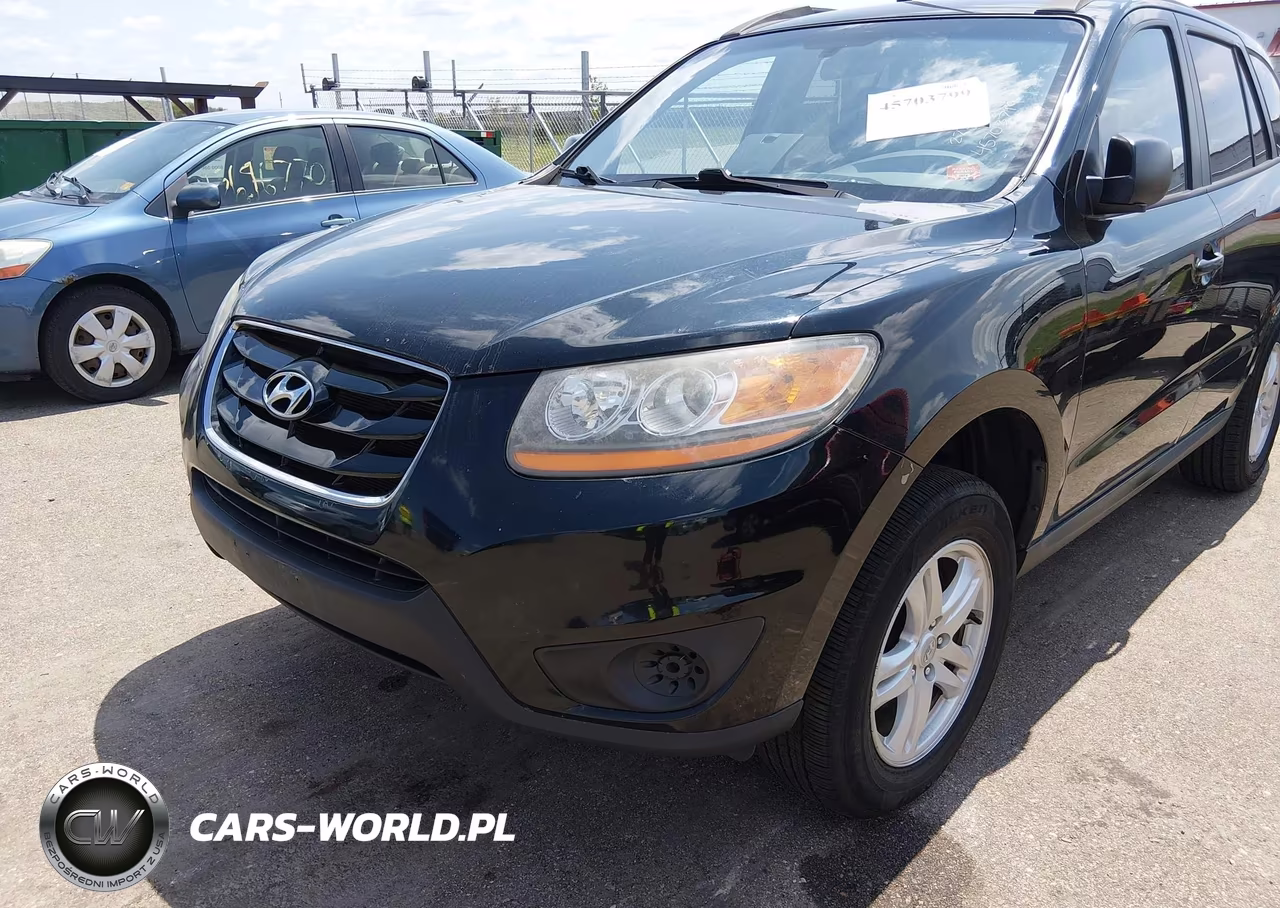 2010 Hyundai Santa Fe Gls VIN:5NMSG3AB9AH334860 - 6