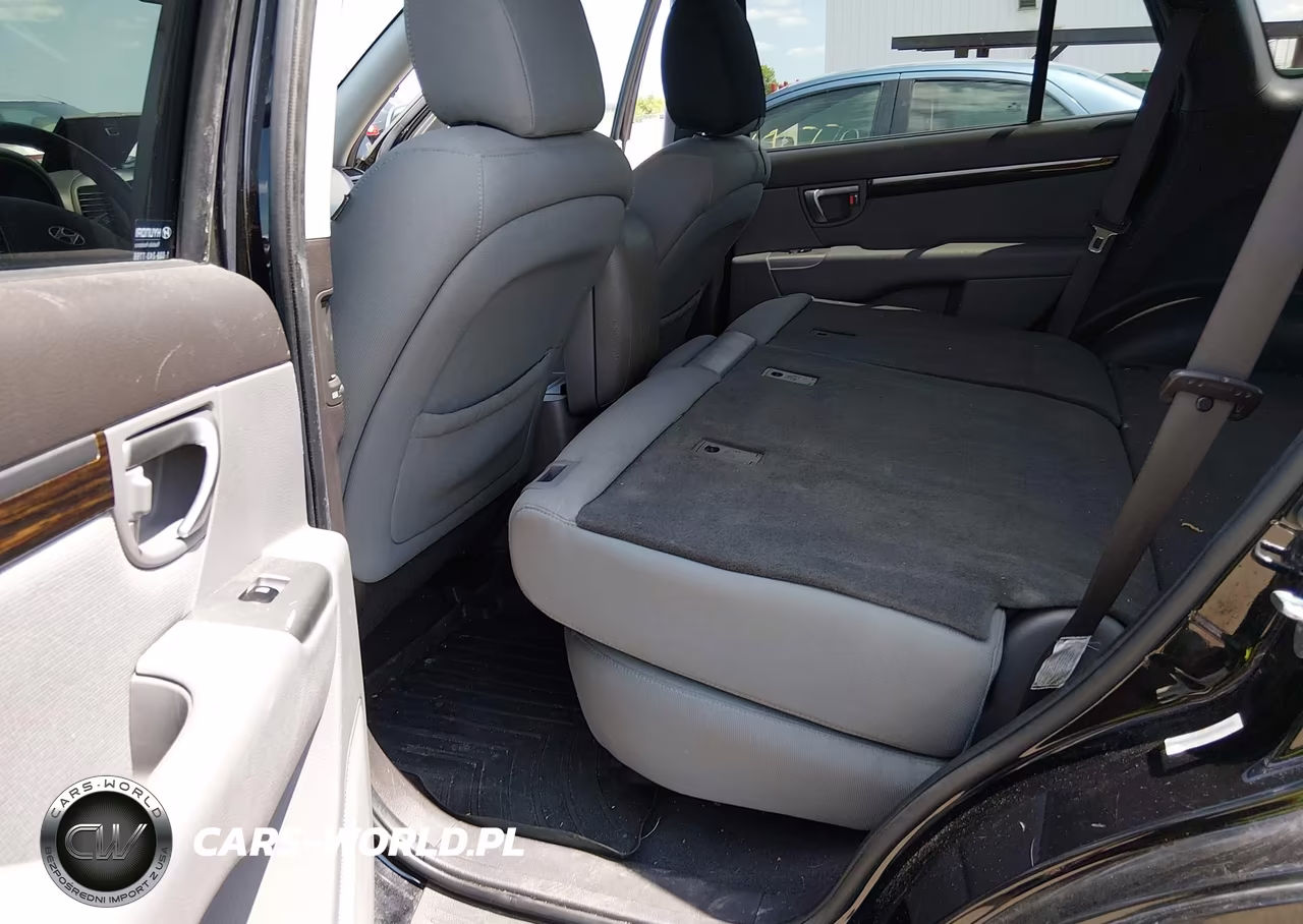 2010 Hyundai Santa Fe Gls VIN:5NMSG3AB9AH334860 - 8