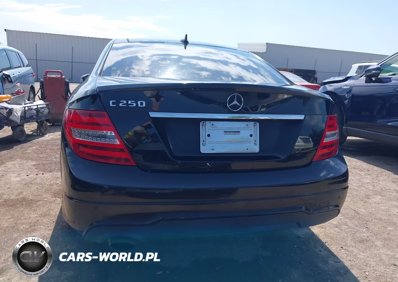 2013 Mercedes-Benz C 250 VIN:WDDGJ4HB4DG053053 - 17