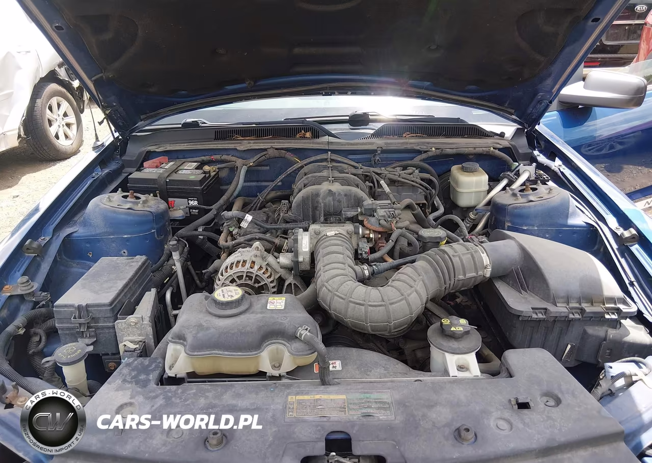 2007 Ford Mustang V6 Deluxe-V6 Premium VIN:1ZVFT80N675204615 - 10