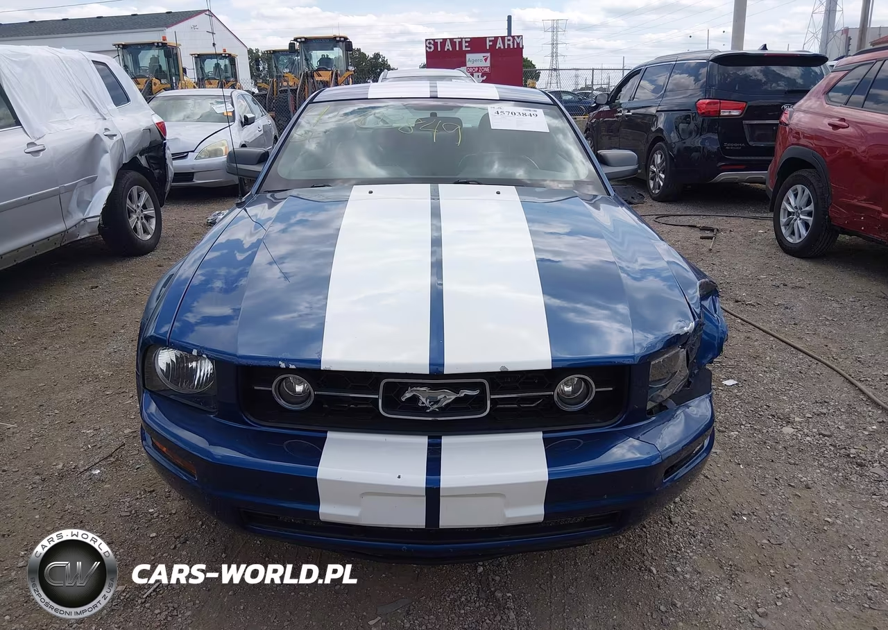 2007 Ford Mustang V6 Deluxe-V6 Premium VIN:1ZVFT80N675204615 - 12