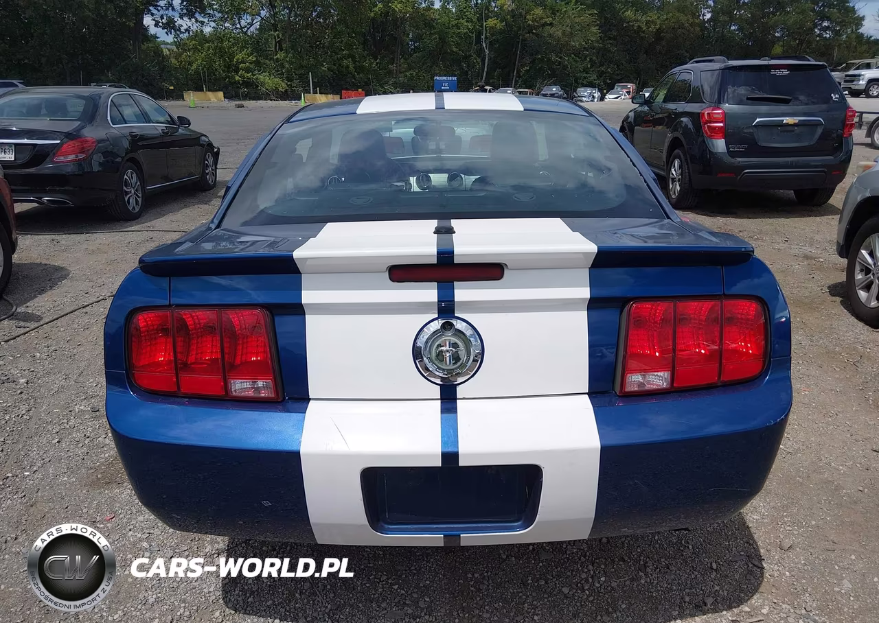 2007 Ford Mustang V6 Deluxe-V6 Premium VIN:1ZVFT80N675204615 - 16