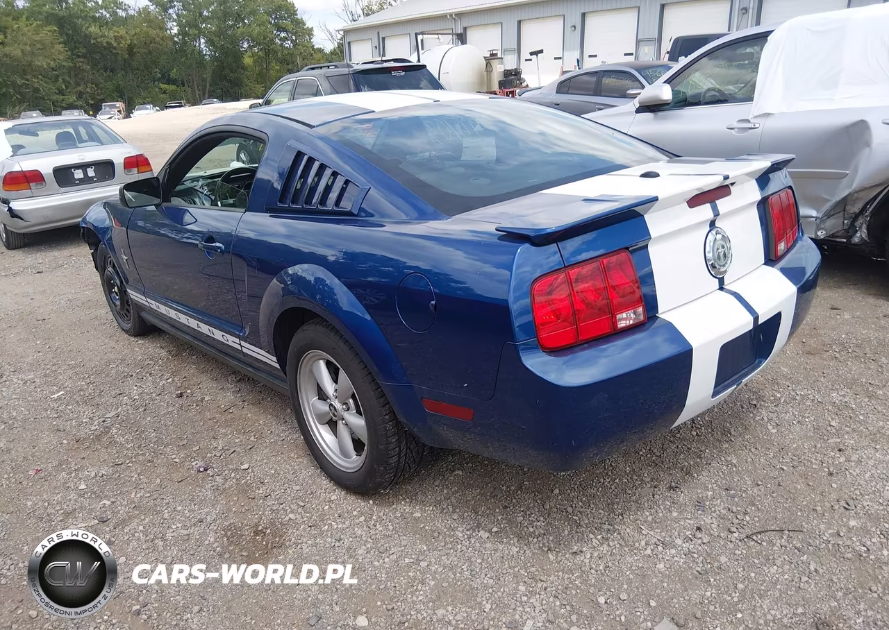 2007 Ford Mustang V6 Deluxe-V6 Premium VIN:1ZVFT80N675204615 - 3