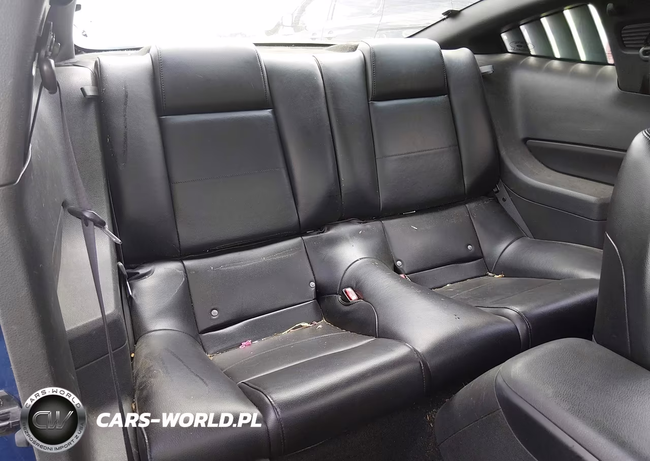 2007 Ford Mustang V6 Deluxe-V6 Premium VIN:1ZVFT80N675204615 - 8