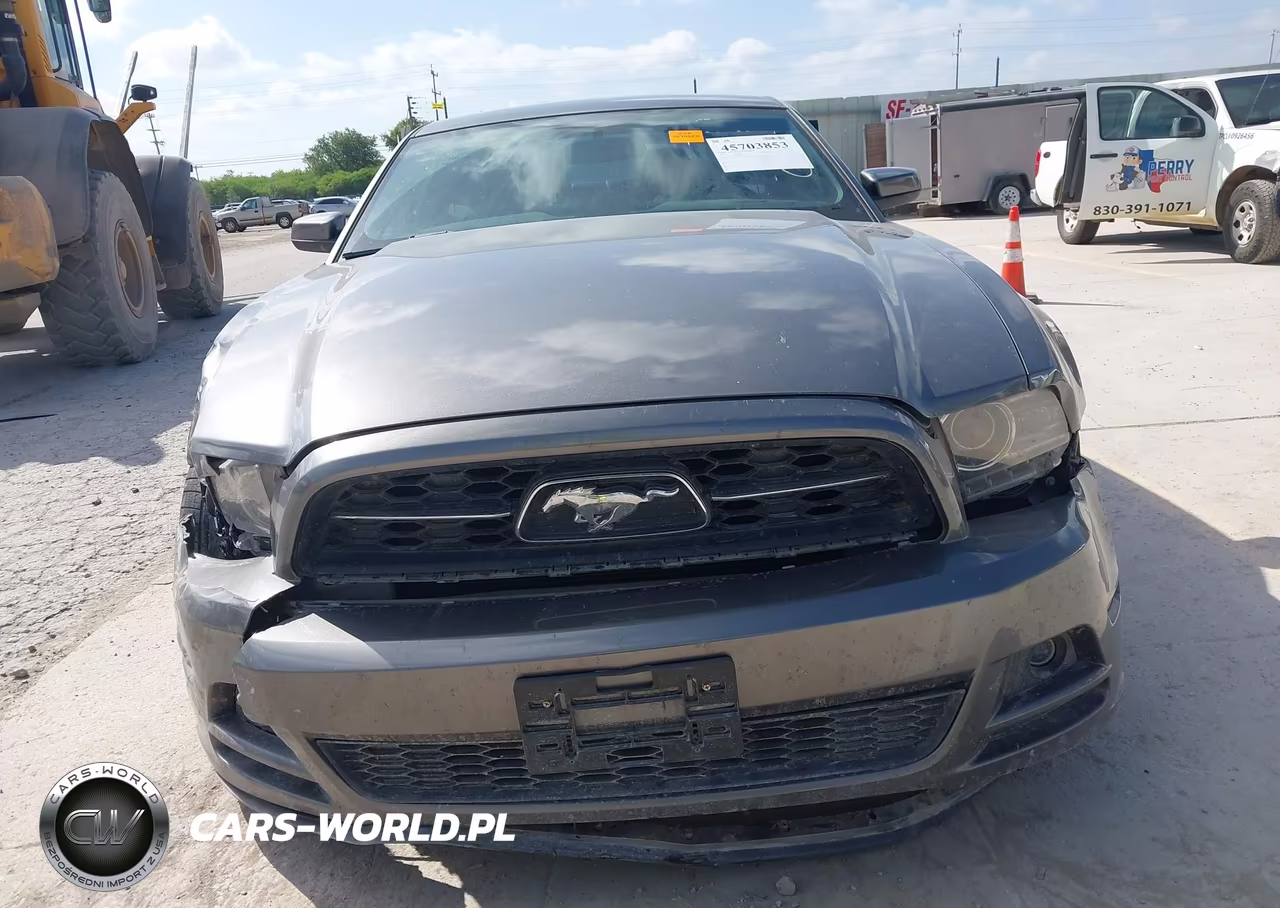 2014 Ford Mustang VIN:1ZVBP8AM3E5290391 - 12