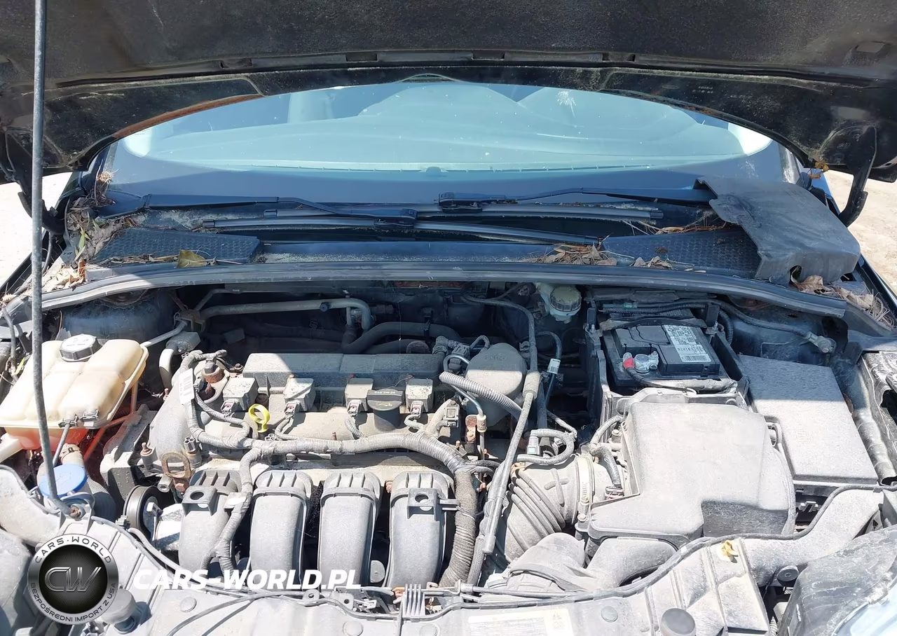 2013 Ford Focus Se VIN:1FADP3F23DL367931 - 10