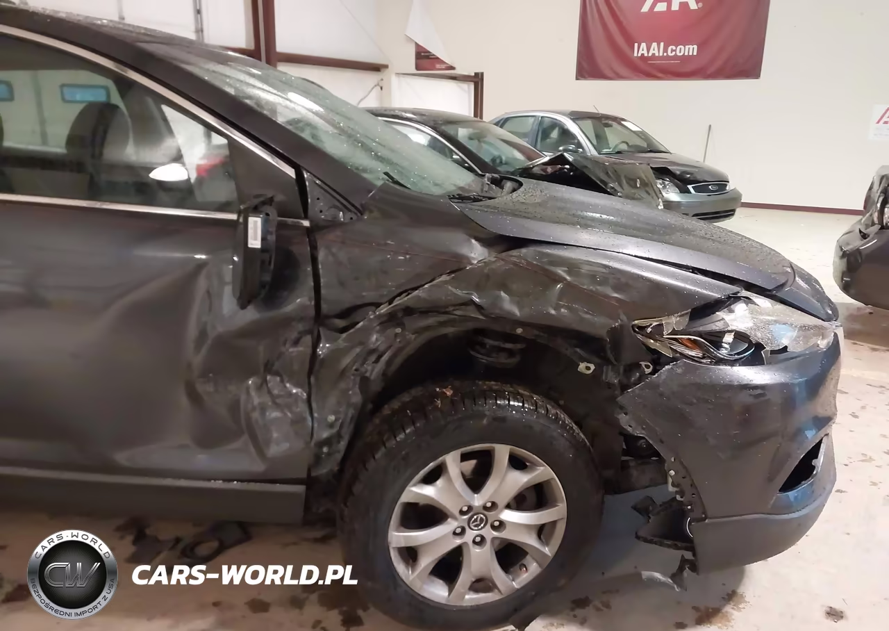 2014 Mazda Cx-9 Touring VIN:JM3TB2CA9E0436707 - 6