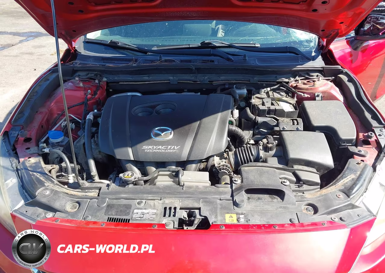 2016 Mazda Mazda3 I Sport VIN:JM1BM1K79G1325716 - 10