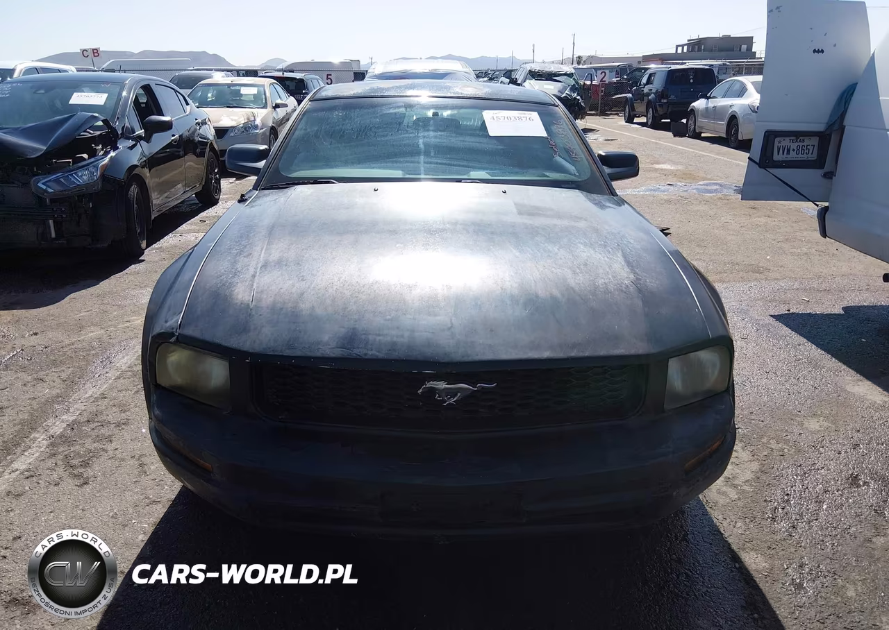 2008 Ford Mustang V6 Deluxe-V6 Premium VIN:1ZVHT80N285195695 - 12