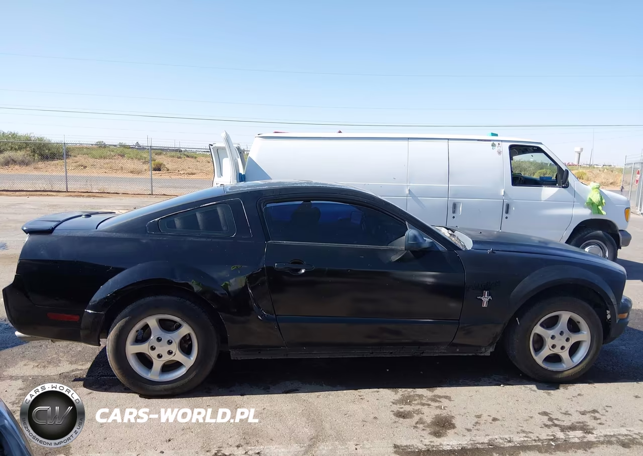 2008 Ford Mustang V6 Deluxe-V6 Premium VIN:1ZVHT80N285195695 - 13
