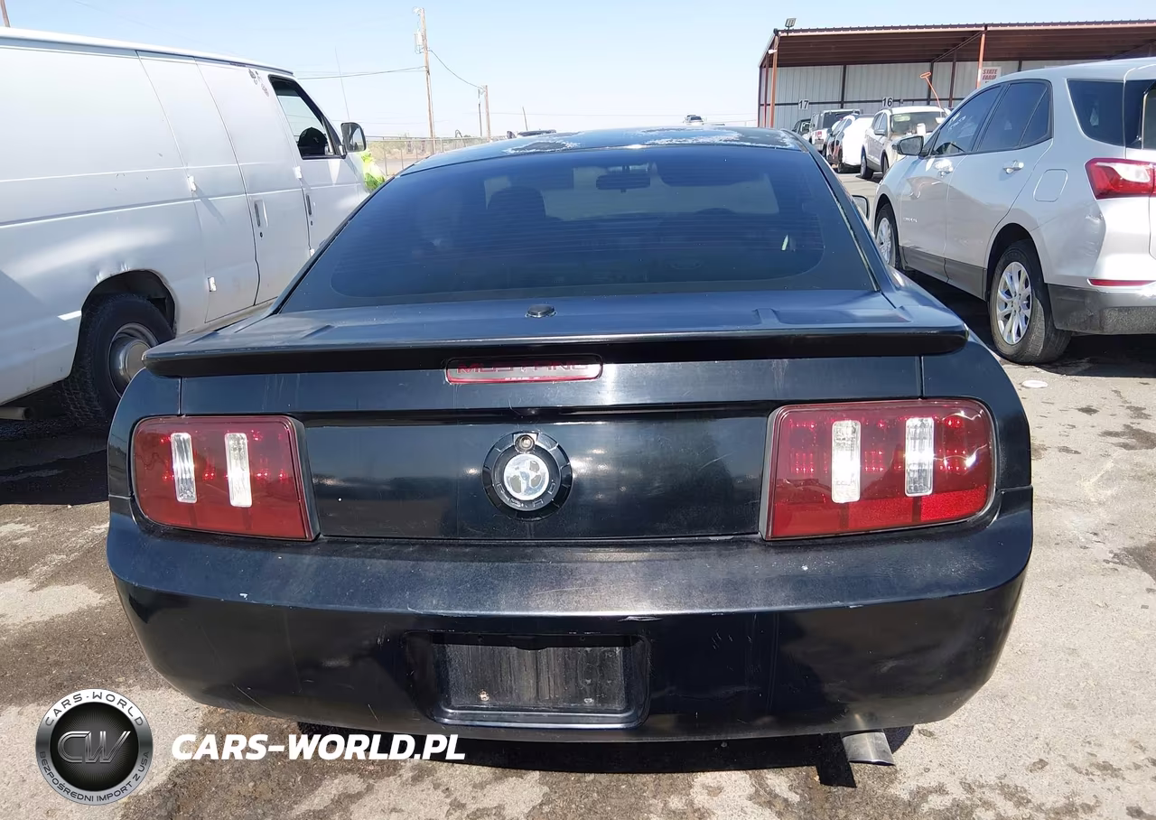 2008 Ford Mustang V6 Deluxe-V6 Premium VIN:1ZVHT80N285195695 - 16