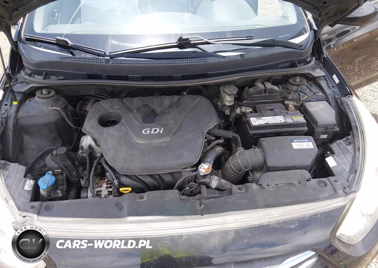 2016 Hyundai Accent Se VIN:KMHCT4AE6GU956913 - 10