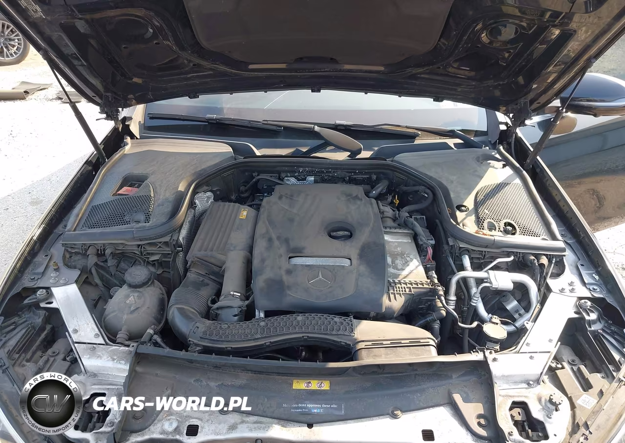 2019 Mercedes-Benz E 300 4Matic VIN:WDDZF4KB8KA507775 - 10