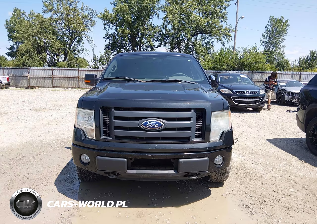 2010 Ford F-150 Fx4-Lariat-Xl-Xlt VIN:1FTFX1EV8AFB61632 - 12