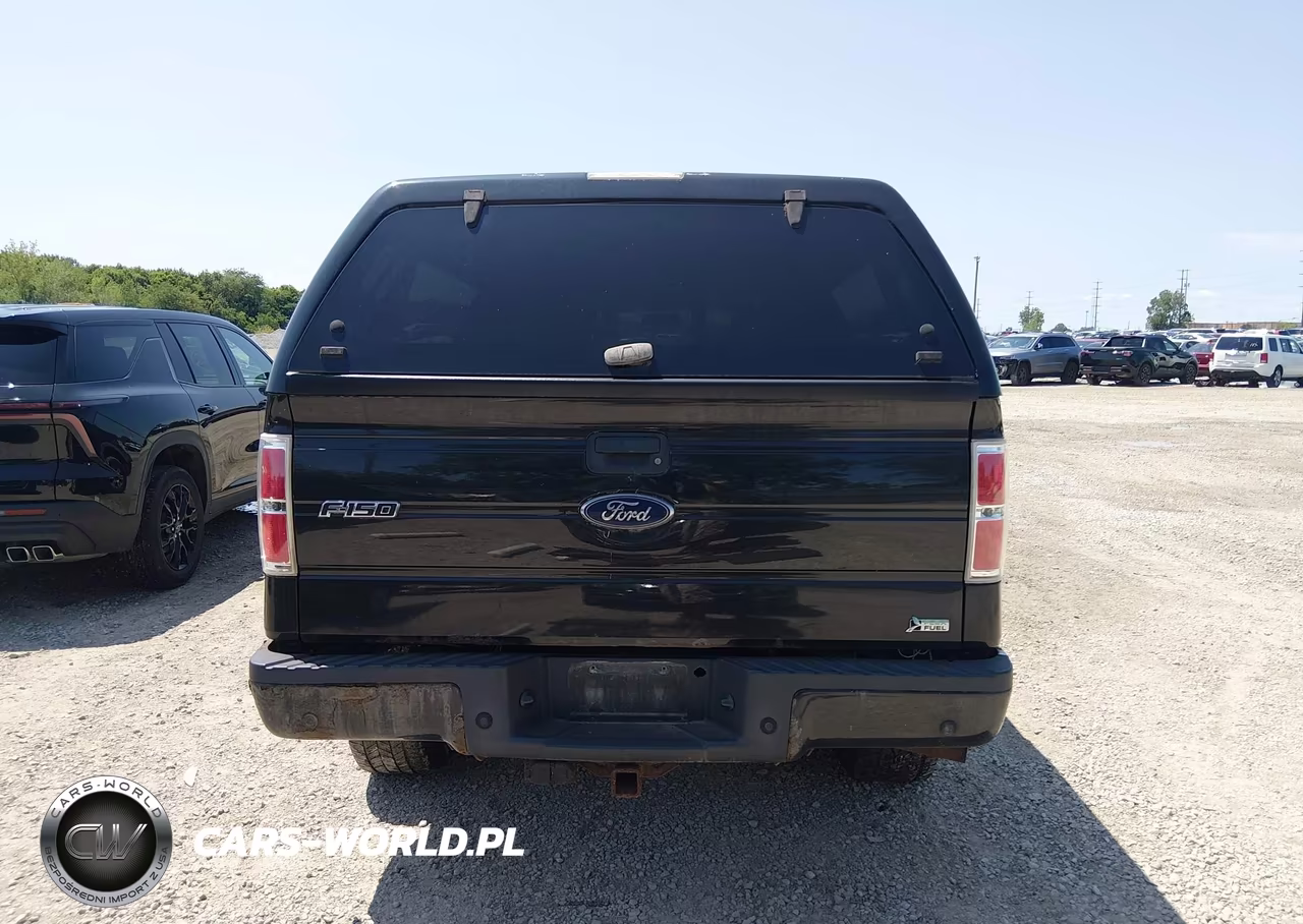 2010 Ford F-150 Fx4-Lariat-Xl-Xlt VIN:1FTFX1EV8AFB61632 - 16